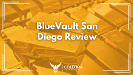 BlueVault San Diego Review