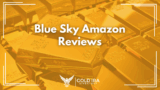 Blue Sky Amazon Course Reviews and Complaints 2025